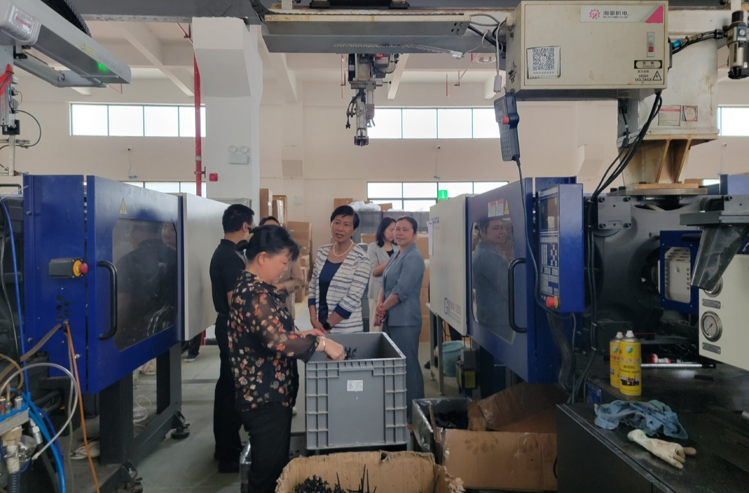衡阳市人大常委会领导来衡东调研侨企发展