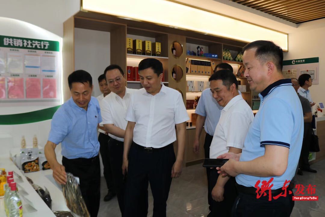 省供销社到衡东县调研“强基强能”工程推进工作