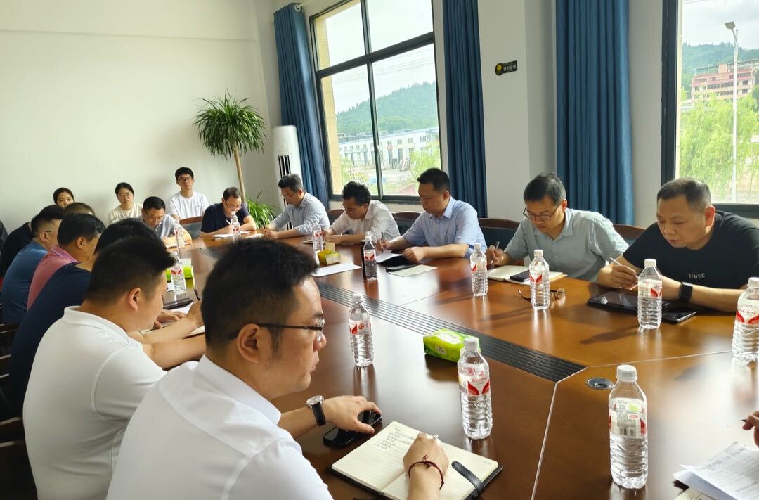 伍松深入洣水镇调研基层党建、村集体经济工作
