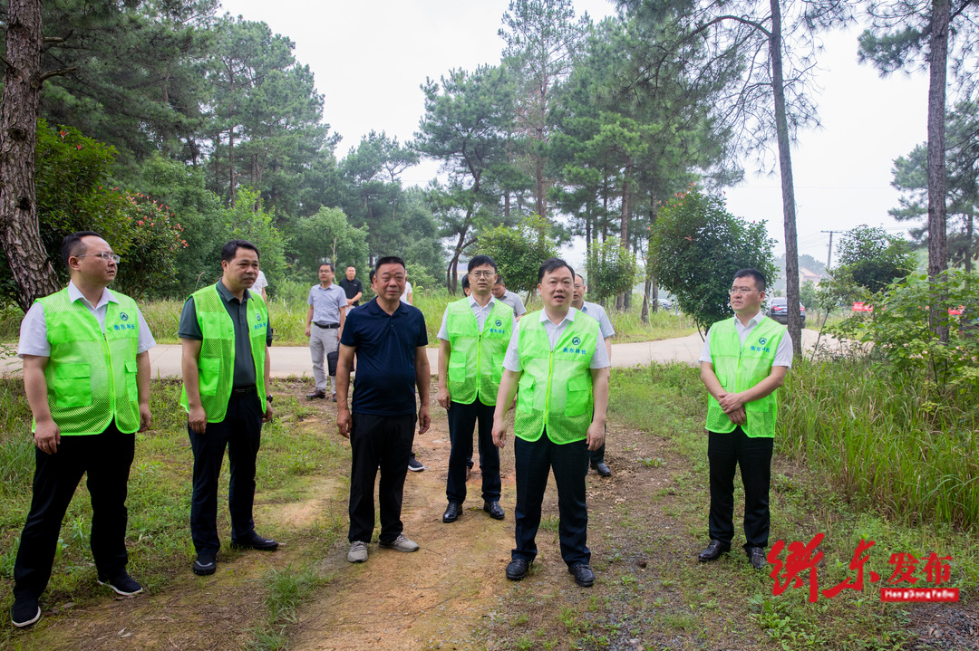 谭建华到大浦镇宣讲习近平总书记考察湖南重要讲话和指示精神并开展党纪学习教育等工作调研和巡林