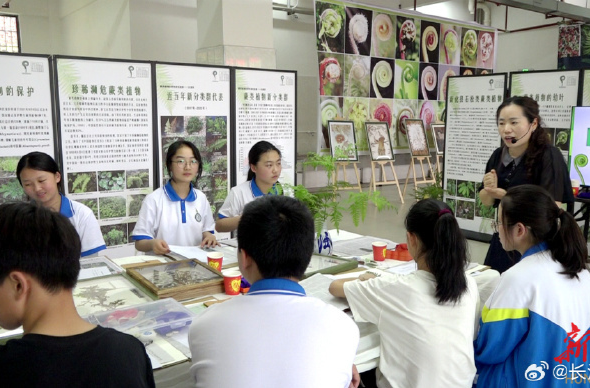 新化举办“蕨代风华”植物科普专题展