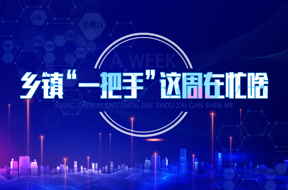 【专栏】乡镇“一把手”这周在忙啥