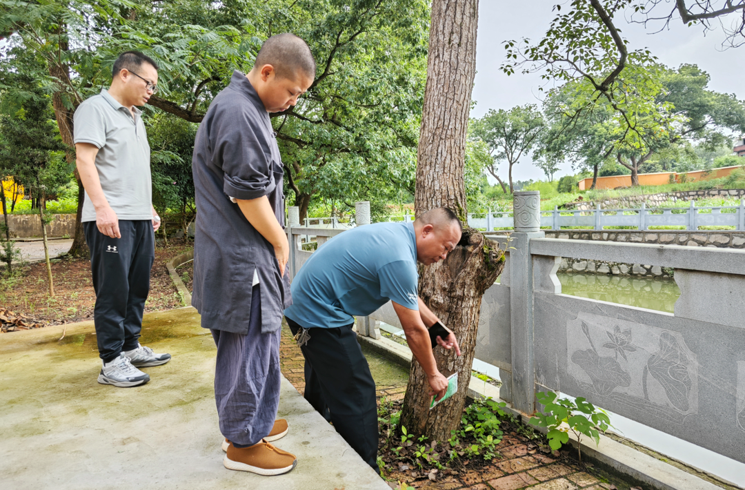【提案办理进行时】县政协到永宁寺督办第17号提案