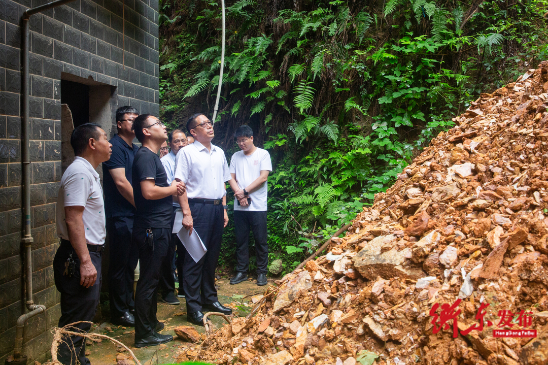 蒋崇华深入部分乡镇督查防汛抗灾和山洪地质灾害防治工作