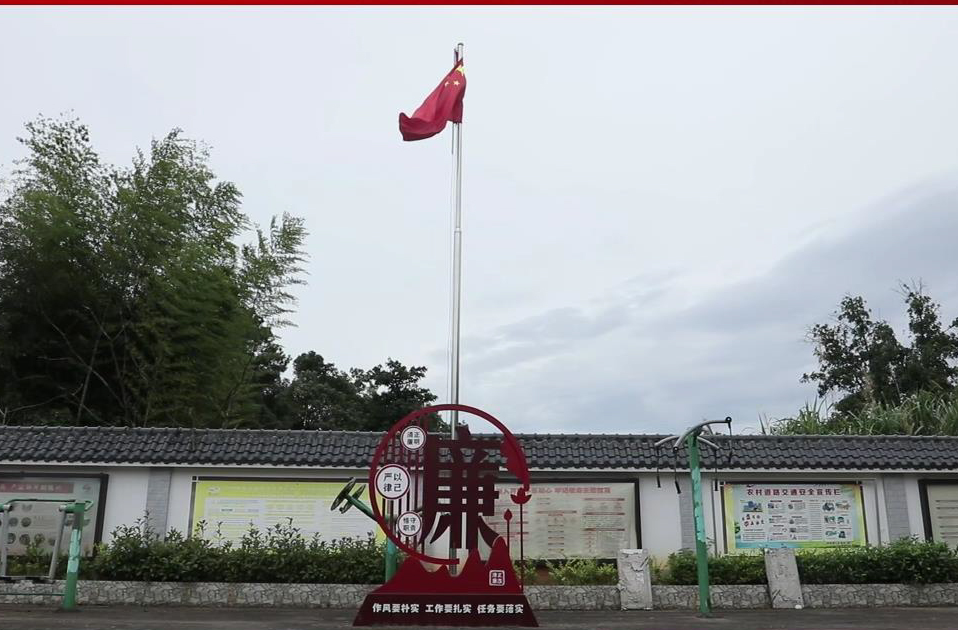 【罗帅故里党旗红】视频 | 李斌：党员群众齐携手 党建引领攀巅峰