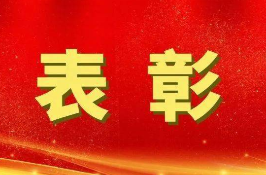光荣榜来了，衡东这些集体和个人获表彰！