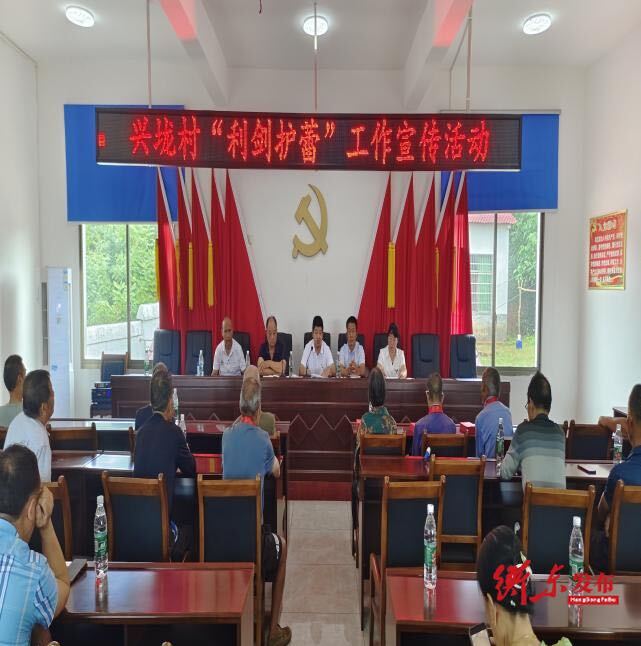 霞流镇：党建引领，合力护蕾