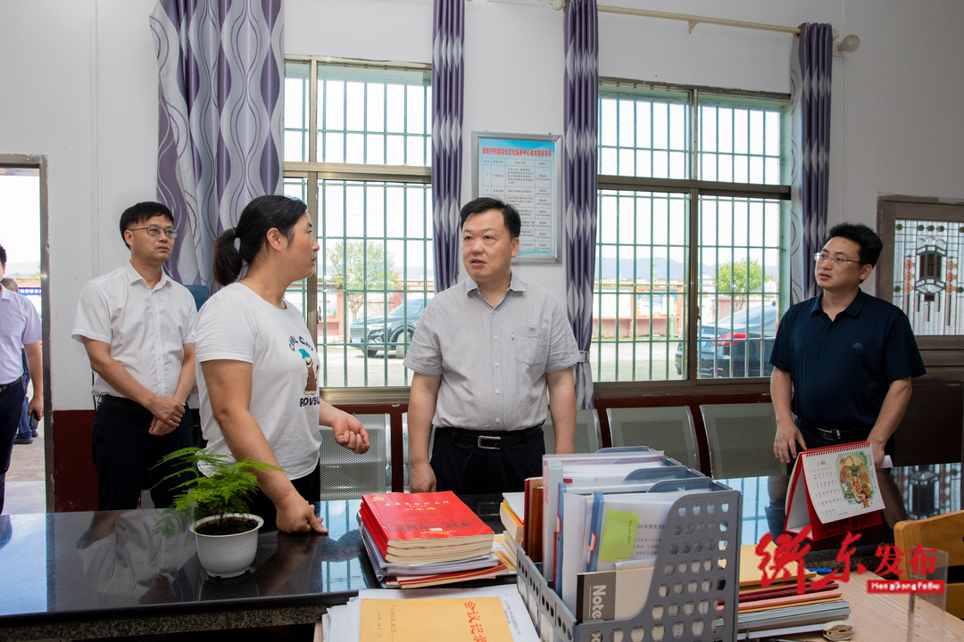 谭建华赴高湖镇调研基层党建、基层减负、党纪学习教育和产业发展工作