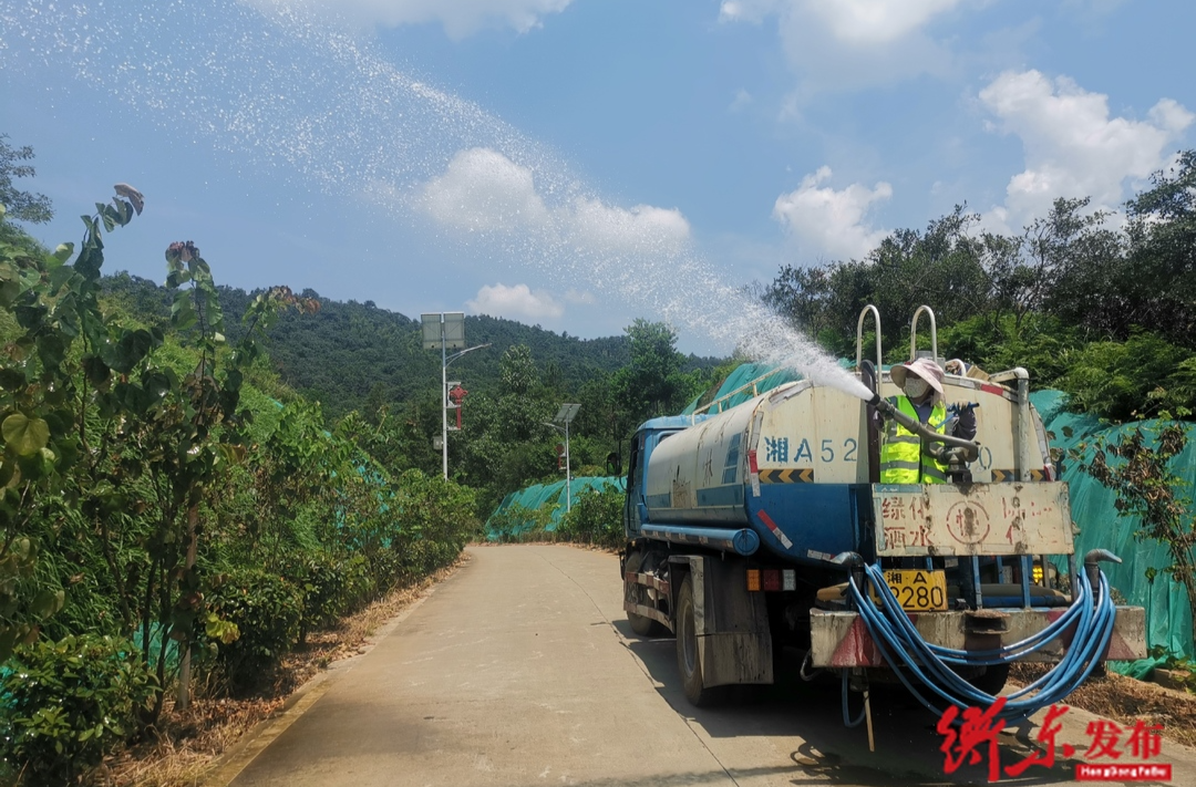 【喜迎旅发大会】县林业局：战高温 斗酷暑 用心护绿迎旅发