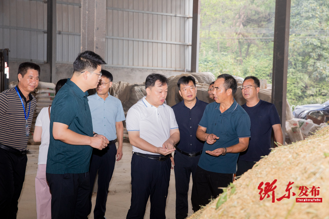 谭建华赴洣水镇调研乡村振兴工作