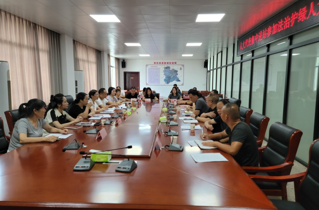 衡阳市人大常委会赴衡东县开展“人大代表集中进站暨法治护绿人大行”启动仪式