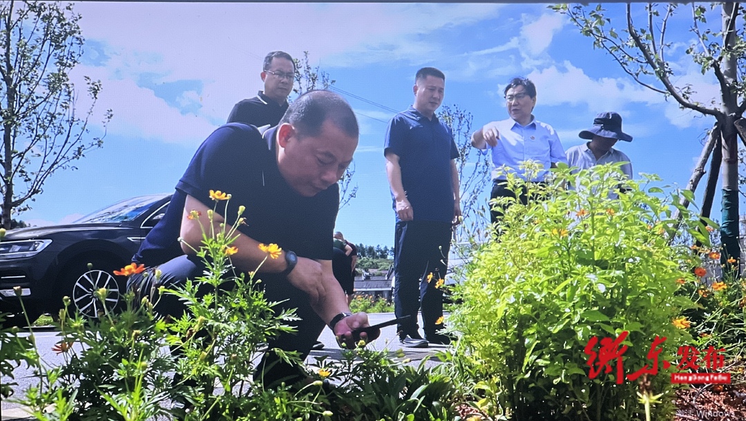 县政协驻林业局改善生态环境民主监督小组对第三届湖南旅发大会观摩线路林业生态环境现场调研