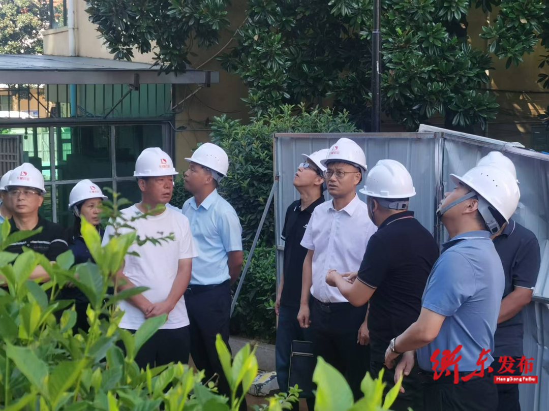 县领导到湖南东健药业有限公司督导检查安全生产工作