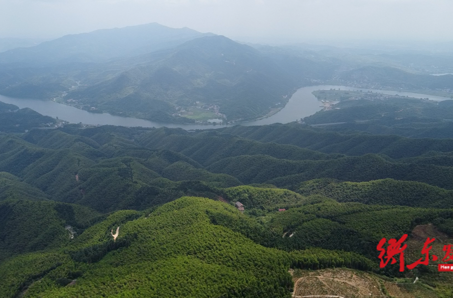 【夏日美景】四方山：竹海輕搖夏日夢 綠意滿盈醉人間