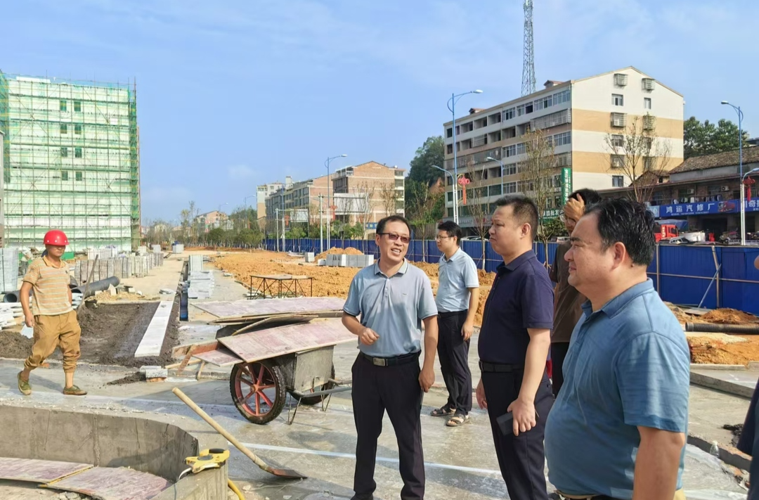 伍松主持召开印章产业园(一期)配套基础设施建设项目工作调度会