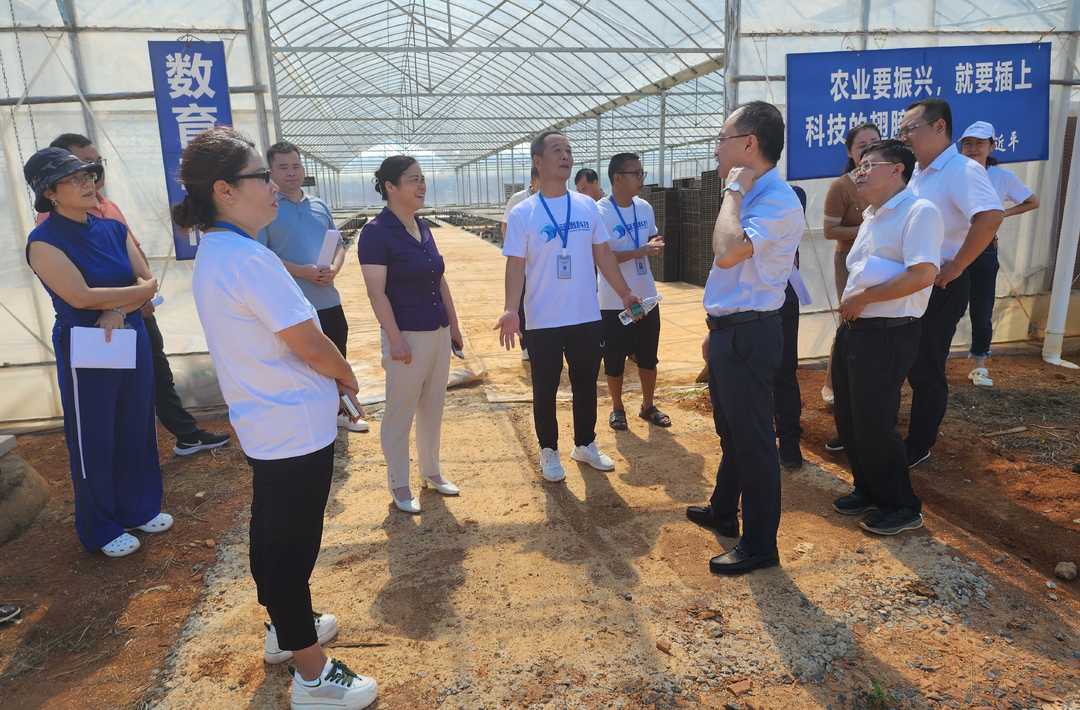 ﻿省人大常委会调研组来我县调研农业社会化服务体系建设情况