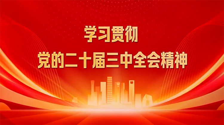 【专栏】学习贯彻党的二十届三中全会精神