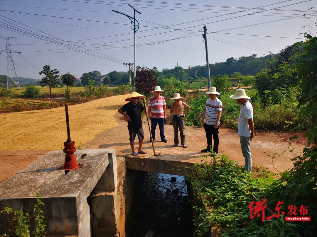 大浦鎮(zhèn)：多措并舉保灌溉 全力抗旱保民生