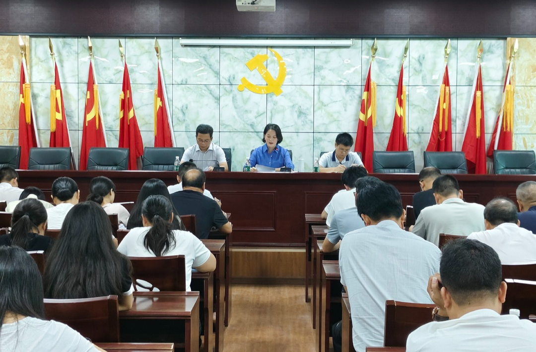 县领导深入杨桥镇宣讲党的二十届三中全会精神