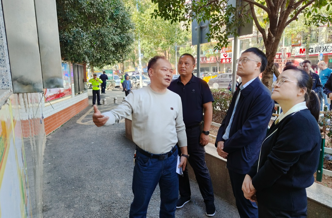 县领导赴文冲完小开展校园周边环境整治工作