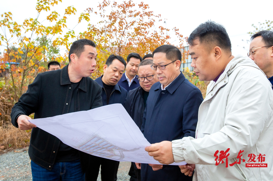 蒋崇华调度衡东经开区（化工片区）承诺整改、复核及扩片认定工作