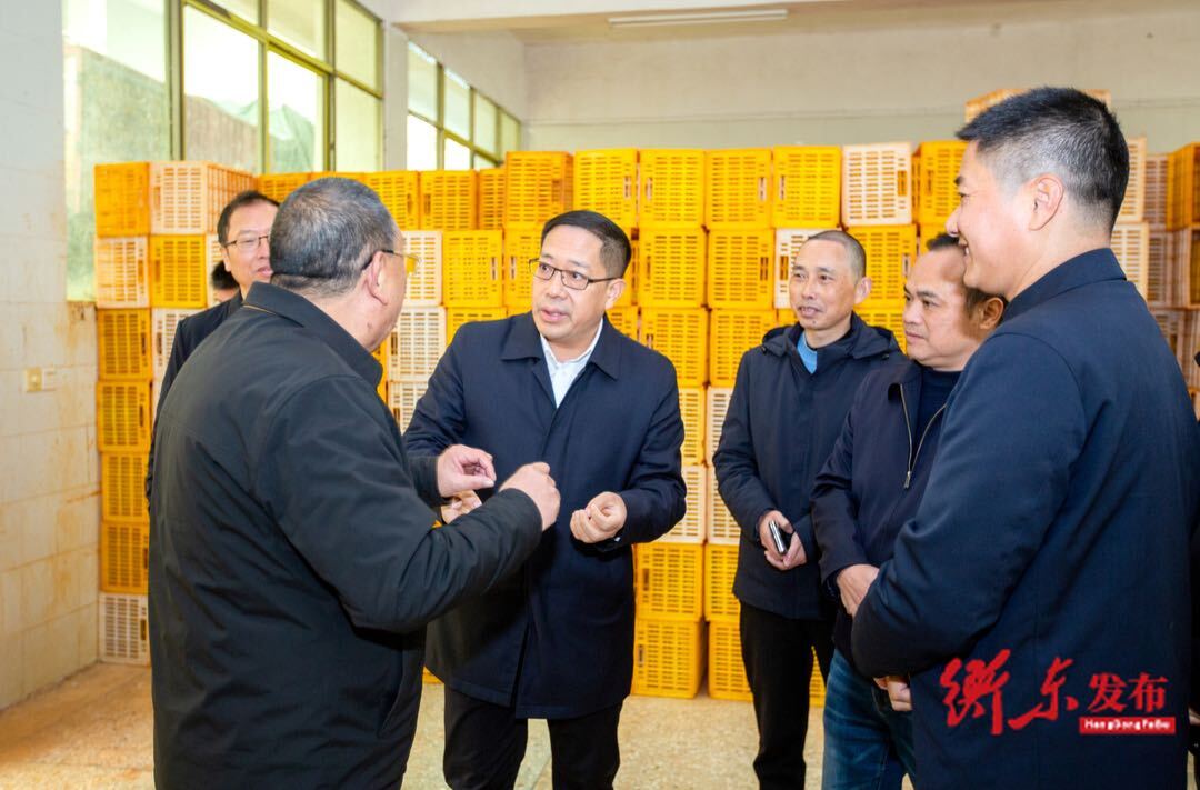 蒋崇华调研全县“国家农业产业强镇”建设情况
