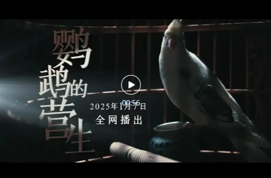 重磅预告！开年网络普法微电影《鹦鹉的营生》《谁是甄湘》精彩抢先看！