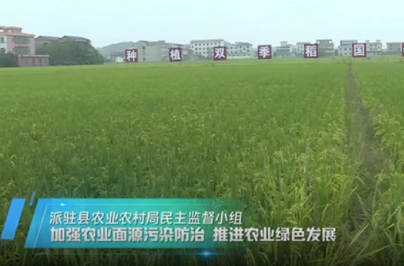 衡东县政协改善生态环境专项民主监督工作纪实 第五期：农业农村局