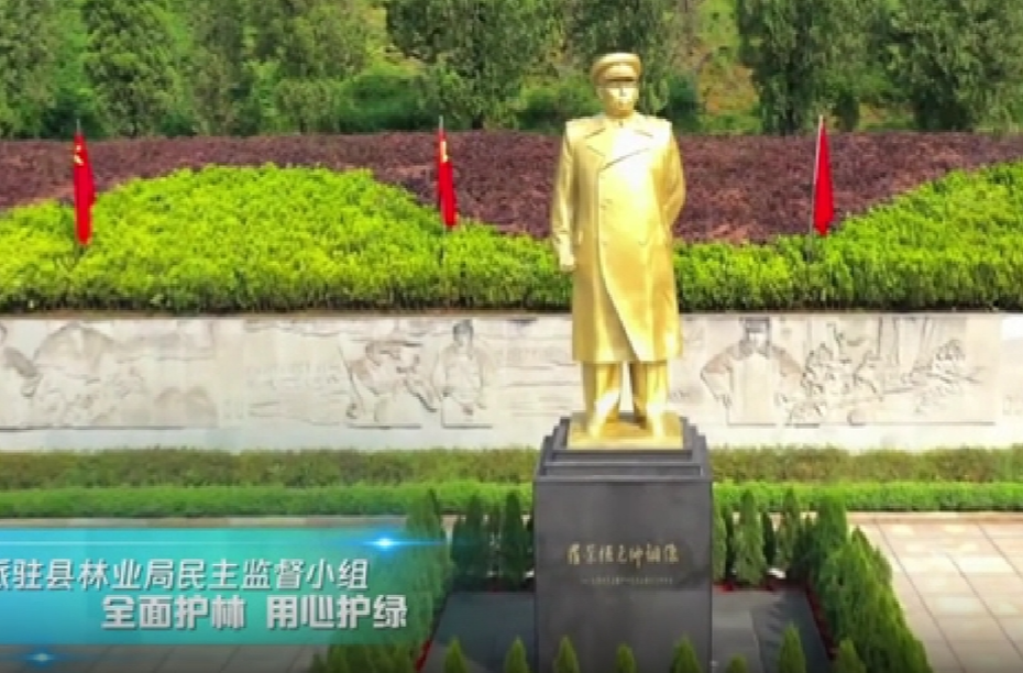 衡东县政协改善生态环境专项民主监督工作纪实 第六期：林业局