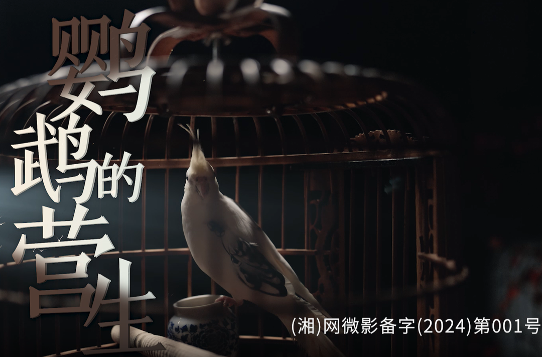 芙蓉国评论：净化网络空间 不当旁观者
