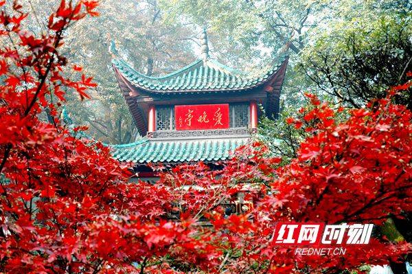 芙蓉国评论丨把握“时与势”，打造湖湘文旅“新标杆”