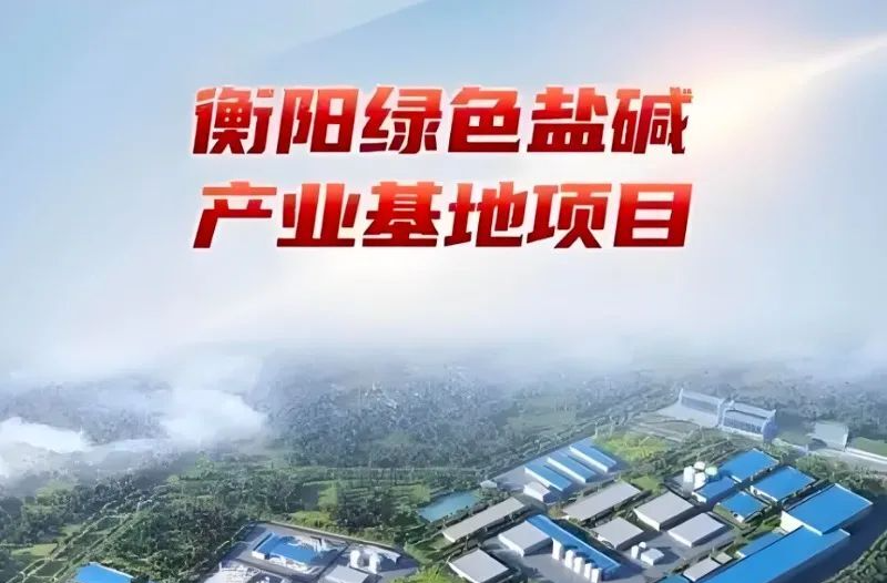 重磅发布！湖南2025年“十大产业项目”，位于我县的衡阳绿色盐碱产业基地上榜！