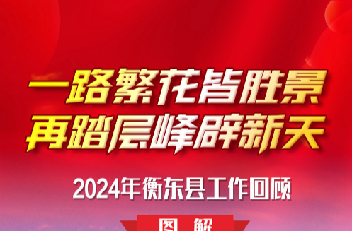 【图解】一路繁花皆胜景 再踏层峰辟新天——2024年衡东县工作回顾