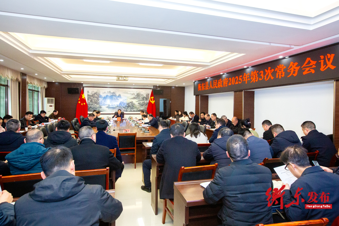 蒋崇华主持召开2025年第3次政府常务会