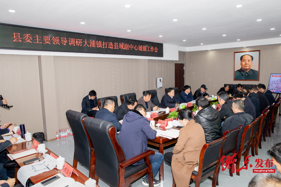谭建华：锚定目标 精准发力 加快推进大浦镇县域副中心城镇建设