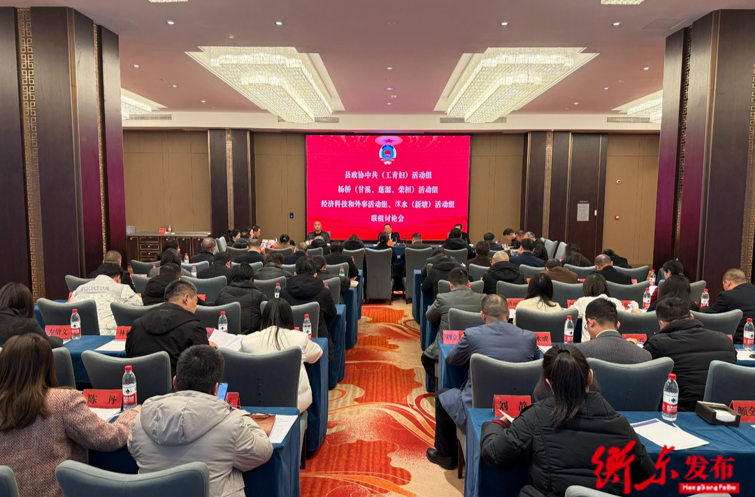 段忠贤参加政协十五届五次会议第一讨论组与第六讨论组联组讨论会