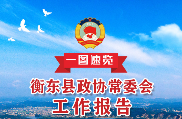 【图解】一图速览衡东县政协常委会工作报告