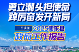 【图解】划重点！一图读懂2025衡东县政府工作报告