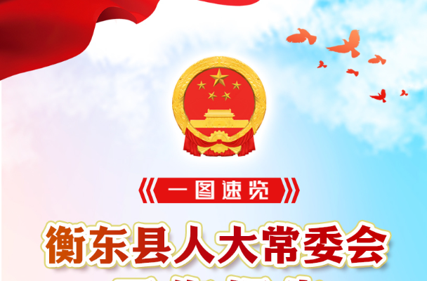 【图解】一图速览衡东县人大常委会工作报告