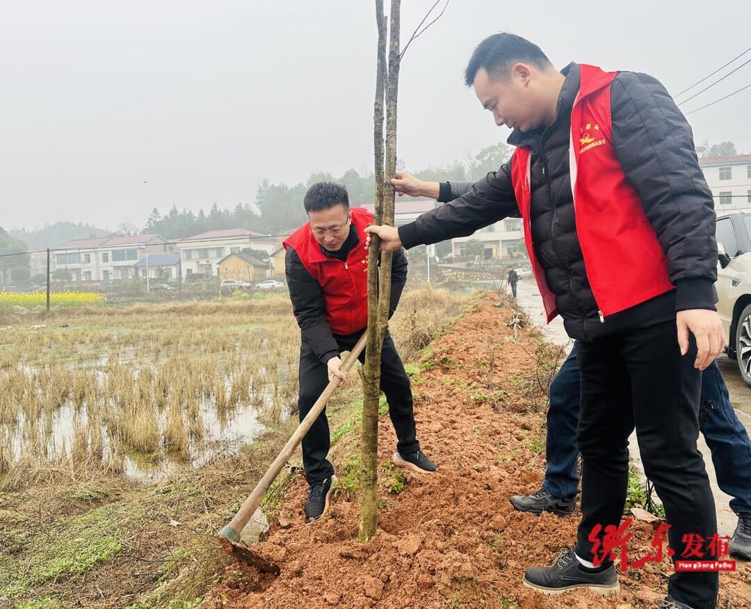 春风送暖先“锋”行，义务植树添新绿