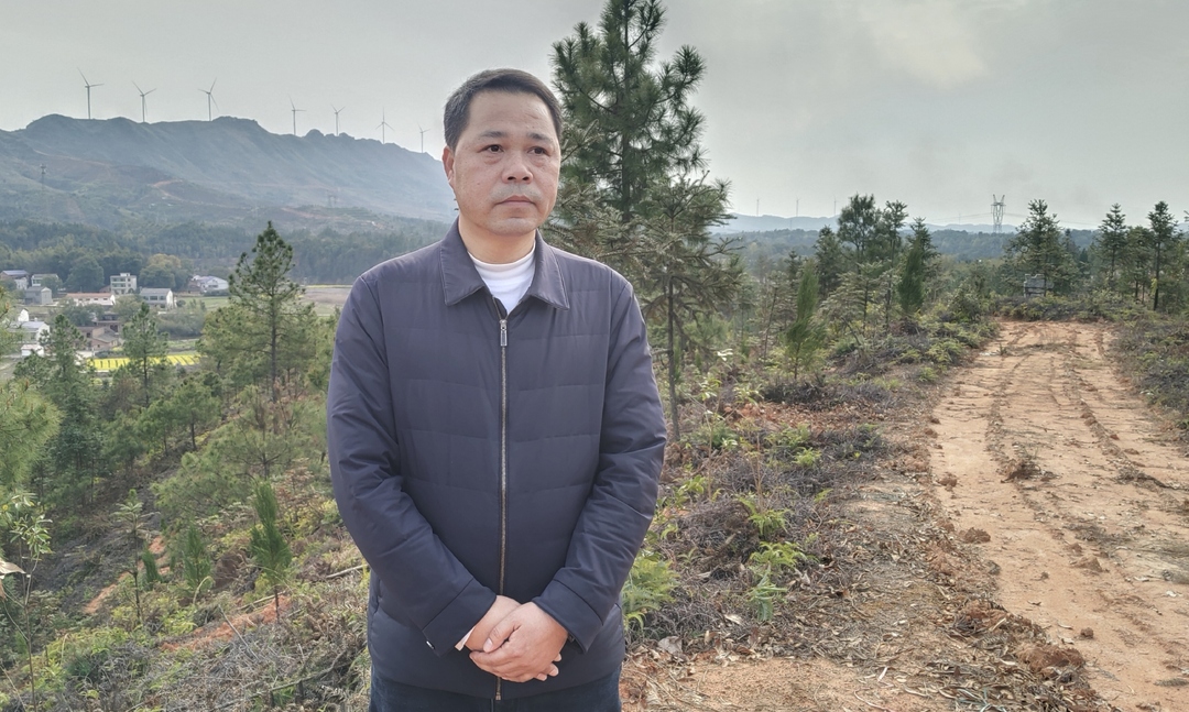 【乡村振兴大家谈】县林业局：三化协同、四联驱动 为乡村振兴筑牢绿色根基