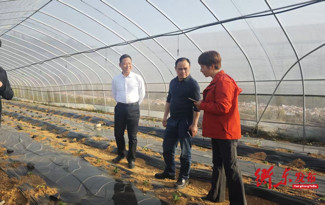 伍松调研粮食生产与国债水利项目推进情况
