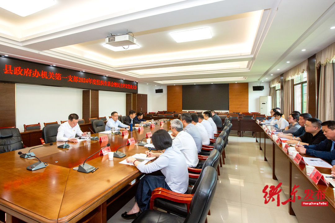 蒋崇华参加县政府办机关第一支部2024年度组织生活会暨民主评议大会