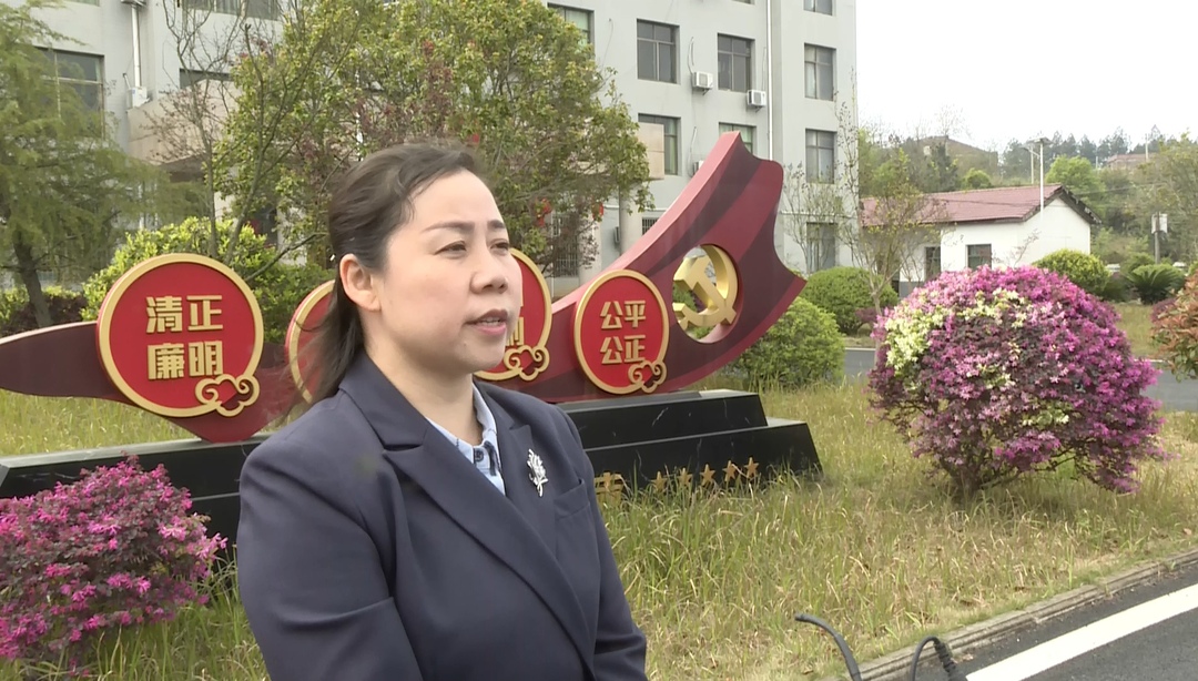 【乡村振兴大家谈】草市镇：聚焦“农文旅”融合 共绘乡村振兴新画