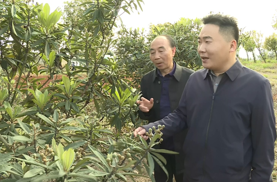 【乡村振兴大家谈】高湖镇：实干笃行 高质量走好乡村振兴发展之路