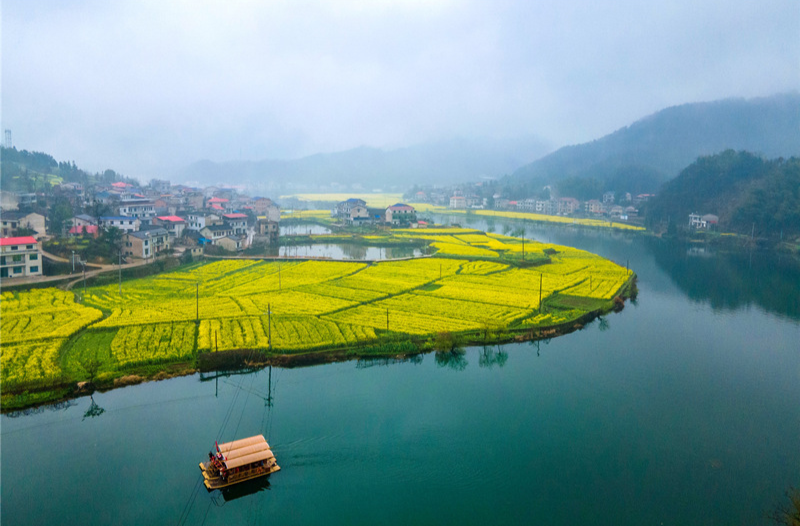好评中国|从“花色经济”看乡村旅游的精细化治理路径