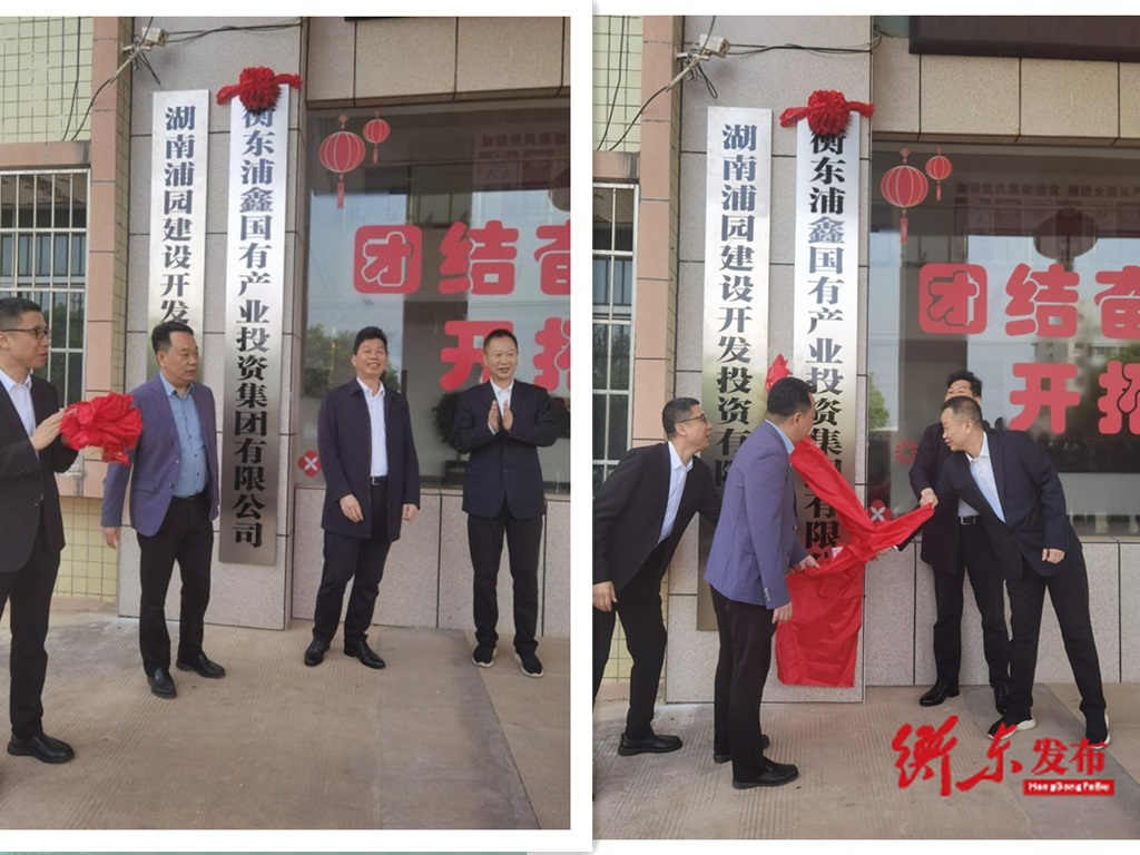 衡东浦鑫国有产业投资集团有限公司举行揭牌仪式
