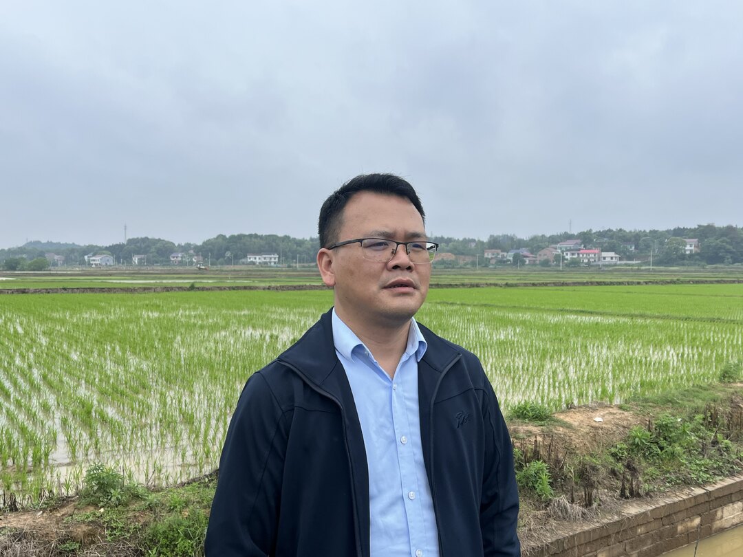  【乡村振兴大家谈】石湾镇：夯实“硬实力” 书写“新答卷”