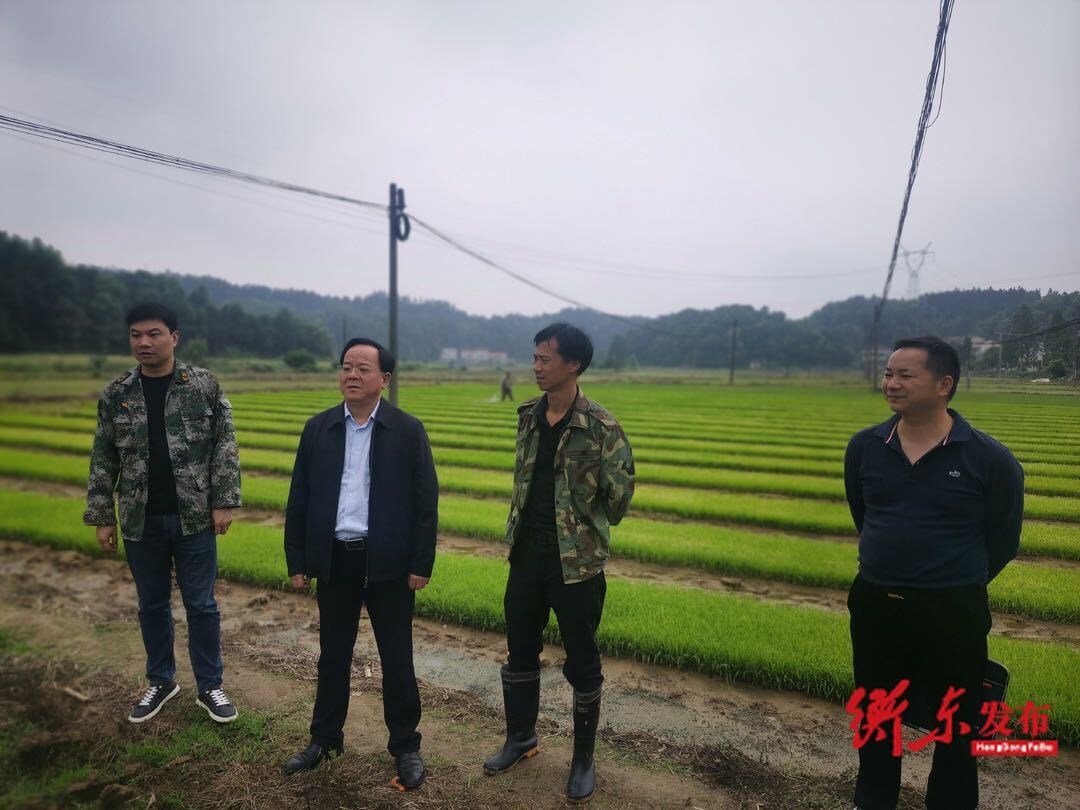 县领导调度春耕生产工作