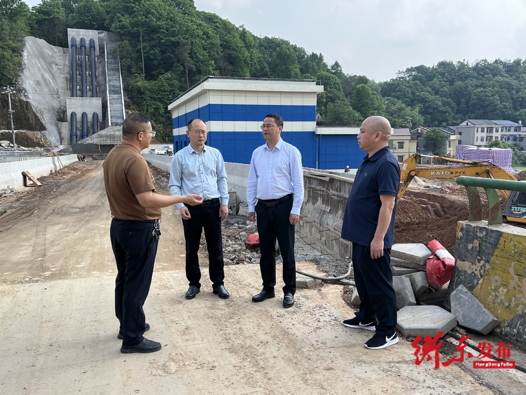 陈植华赴乡镇调研水利项目建设和防汛备汛工作情况